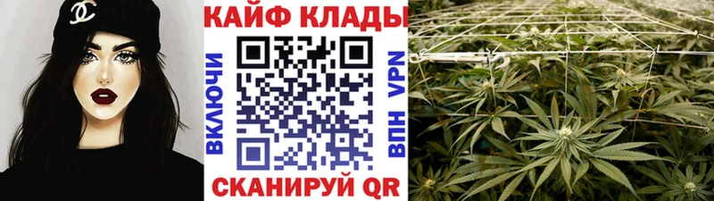 Где продают наркотики Куртамыш Гашиш  COCAIN  АМФЕТАМИН  Конопля  МЕФ 