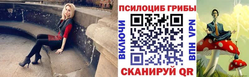 Галлюциногенные грибы GOLDEN TEACHER  мега tor  Куртамыш  наркошоп 